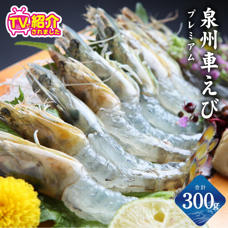 【ふるさと納税】泉州車えび 300g 生食可 生 車えび エビ 活車海老 プリプリ 鮮度抜群 養殖 お造り 生食 刺身 お刺身 生海老 エビフライ 冷凍 瞬間冷凍 魚介類 お取り寄せ お取り寄せグルメ 泉佐野市 送料無料