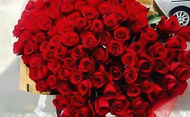 《記念日に届くお花シリーズ》赤バラの花束 108本「結婚して下さい」※配達エリア限定【記念日に届くお花 108本 世界らん展 フラワードリームジャパンカップ 国内主要コンテスト受賞 贈り物 神奈川県 小田原市 】 142069_BN034