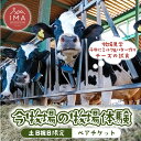 【ふるさと納税】【土日祝日限定】今牧場の牧場体験 ペアチケット ｜ 牧場 体験 バター作り 搾乳 体験型 見学 那須 栃木県 那須町〔P-266〕