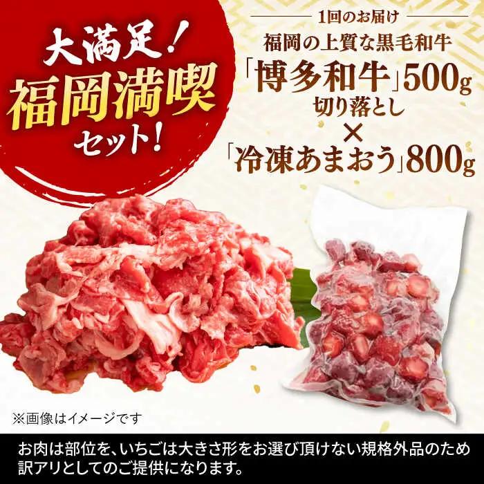 【全12回定期便】【訳あり】博多和牛 切り落とし ＆ あまおう セット1.3kg 桂川町/株式会社 MEAT PLUS [ADAQ071] 訳あり 定期便 国産 牛肉 和牛 牛切り落とし イチゴ いち