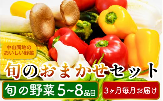 農家直送 野菜詰め合わせ 5～8品目 80サイズ 旬の野菜 定期便 3回 スイートコーン サニーレタス インゲン 白菜 スナップエンドウ ブロッコリー きゅうり 新鮮野菜 夏野菜 甘い 大きいサイズ グルメ 健康 やさい サラダ 鍋 煮物 スムージー 野菜ジュース おでん 野菜炒め 新鮮 徳島県産 食品 グルメ 贈り物 ギフト 送料無料 徳島県 三好市 みよし