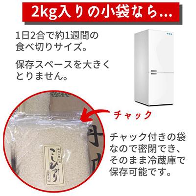 ふるさと納税 亀岡市 【令和6年産】京都丹波米 こしひかり 計6kg(2kg×3袋) |  | 01