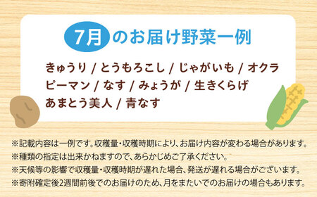【数量限定・先行予約7】厳選！旬を味わう高槻野菜詰合せセット（10種～15種）【2024年7月発送】