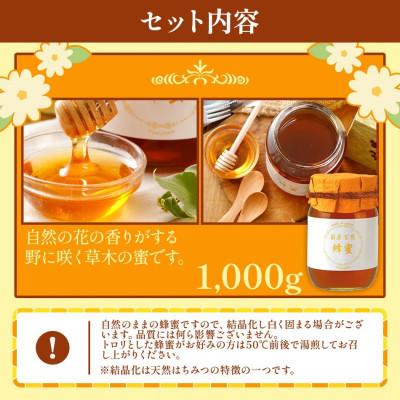 ふるさと納税 大木町 国産蜂蜜ギフト(白)　1,000g　CD01 |  | 03