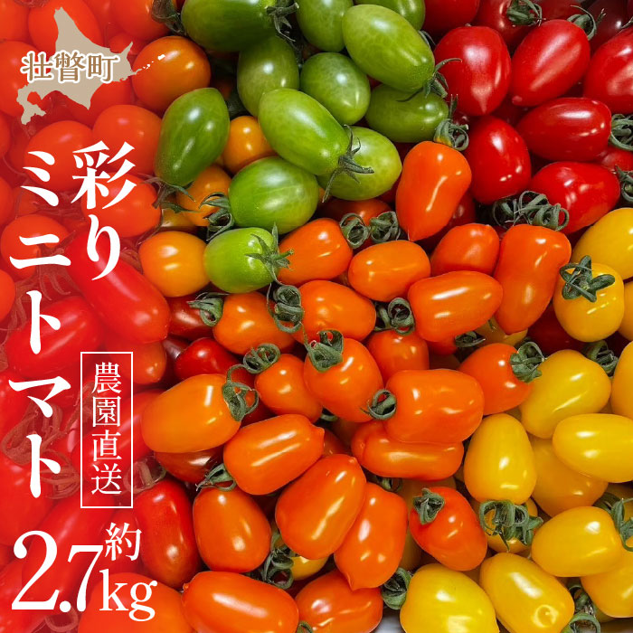 ＜2026年7月上旬よりお届け＞【農園直送】北海道壮瞥産　彩りミニトマト約2.7kg SBTO004