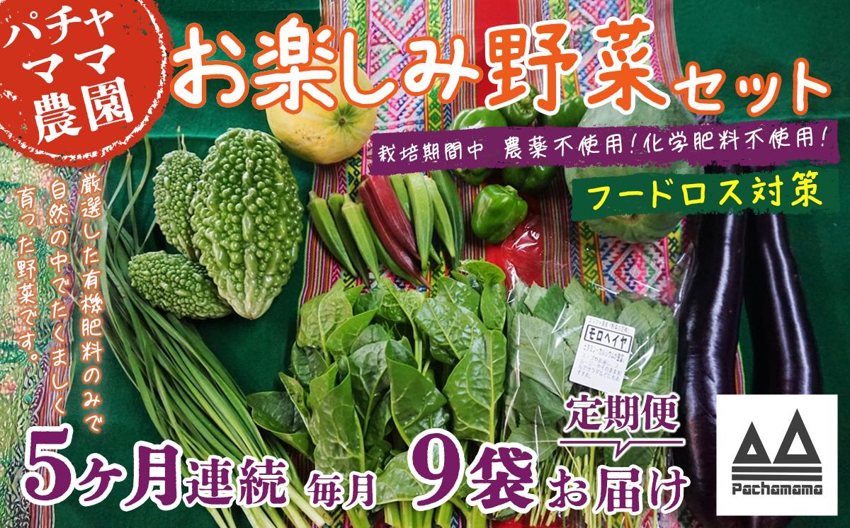 【 訳あり 】【 5ヶ月連続お届け 】 お楽しみ野菜セット （ 9袋 ）【 フードロス対策 】【 野菜 詰め合わせ お任せ 訳あり フードロス 季節物 セット 山芋 パセリ かぶ 人参 里芋 たまねぎ 玉ねぎ ルッコラ ほうれん草 春菊 大根 芽キャベツ レタス じゃがいも さつまいも とうもろこし そら豆 枝豆 パクチー ビーツ ほうれん草 キャベツ ピーマン なすトマト かぼちゃ 】