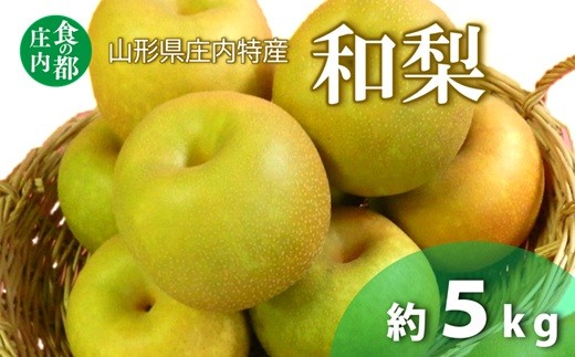 食の都庄内　庄内特産 和梨 約5kg※令和8年8月下旬頃～順次配送
