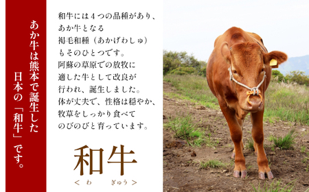 【定期便12回】あか牛 白 ホルモン 計500g (250g×2P)