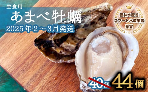 先行予約 あまべ牡蠣 44個 牡蠣 シングルシード 生食用 殻付き かき カキ オイスター 生ガキ 生牡蠣 生がき 生かき ギフト 貝 旨味  【2025年12月発送】