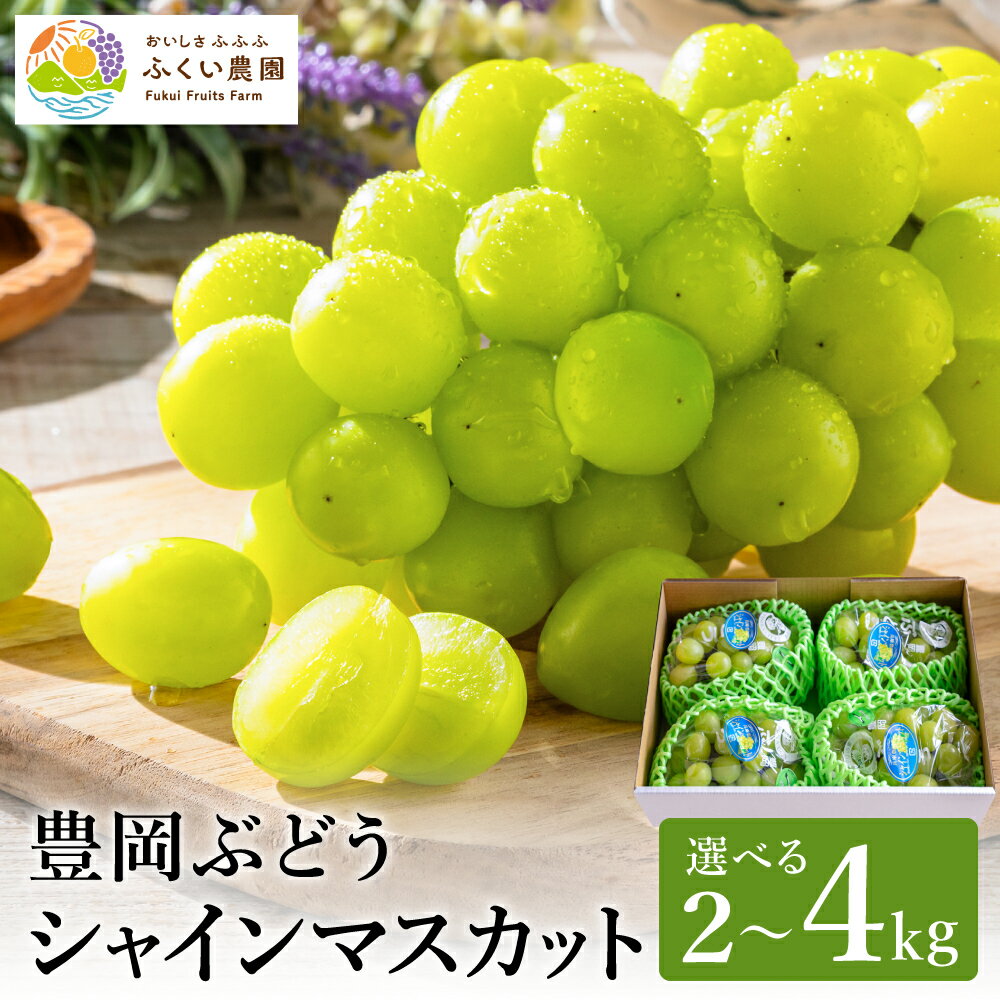 【ふるさと納税】シャインマスカット 大粒 豊岡ぶどう 約2kg（3～4房入/箱）選べる1箱・2箱 / 減農薬 豊岡ブドウ 糖度が高い 濃厚 甘味 上品な香り 歯切れの良い 皮ごと 食べられる シャイン マスカット ぶどう ブドウ 葡萄 果物 産地直送 フルーツ ふくい農園