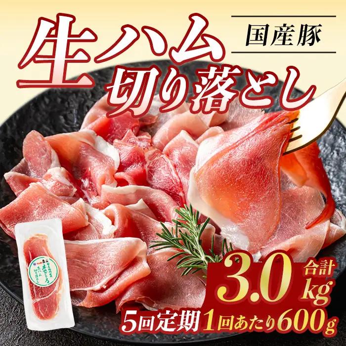 ＜定期便・全5回(連続)＞ 鹿児島 国産 豚 生ハム 切り落とし（計3kg/計600g・60g×10P×5回） 【ナンチク】 T30-v01