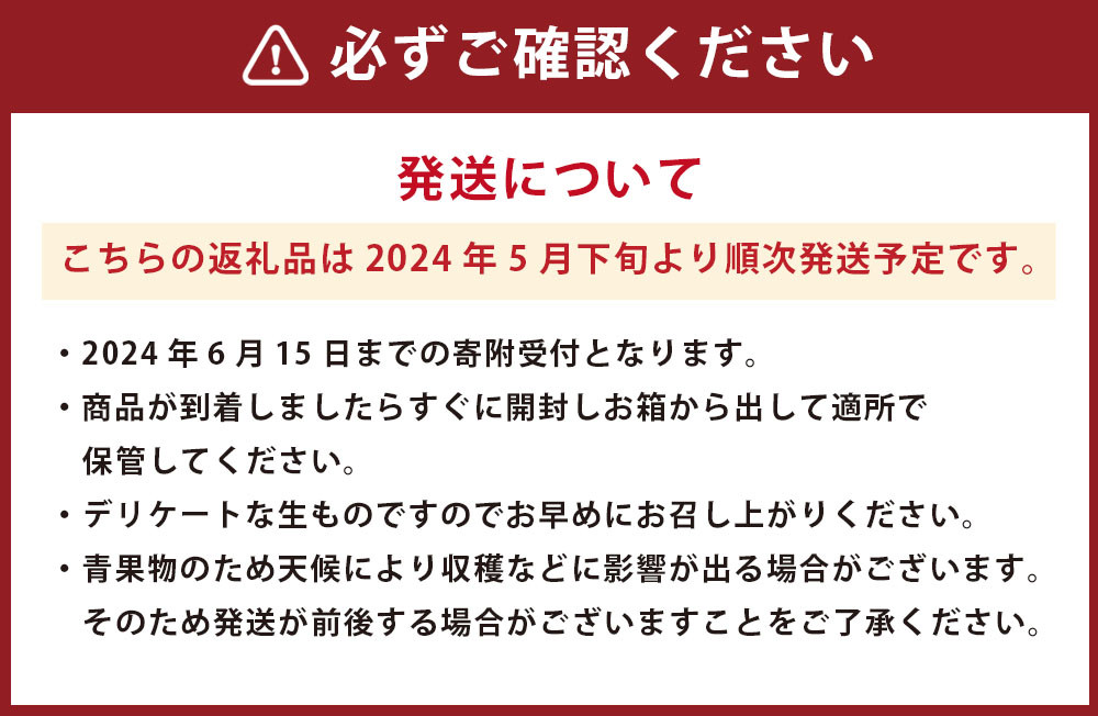 【2024年5月下旬発送開始】熊本県産 肥後グリーンメロン 2玉入り