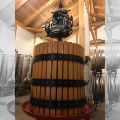 ふるさと納税 高山村 【ワイン農家のワイン】チャオ チャオ ロッソ 2023 メルロー1本 |  | 03