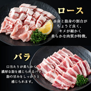 ＜定期便・全3回＞かごしま味わい黒豚 さつま焼肉コース(合計2.7kg/900g×3回) 黒豚 焼肉 豚肉【KNOT】 T57