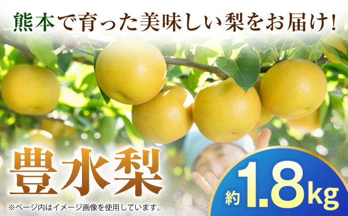 【先行予約】豊水梨　約1.8kg 梨 ナシ フルーツ 果物 【日本フルーツ株式会社】 [ZFJ059]