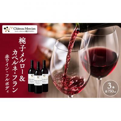 ふるさと納税 上田市 椀子メルロー カベルネ・フラン 750ml 3本 シャトー・メルシャン 赤[54041143]