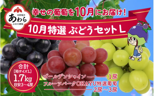 【先行予約】10月特選 ぶどうセットL 1.7kg以上（3～4房）／ 葡萄 シャインマスカット 完熟 ゴールデン シャイン 品種 おまかせ あわら 農家おすすめ ※2024年10月より順次発送