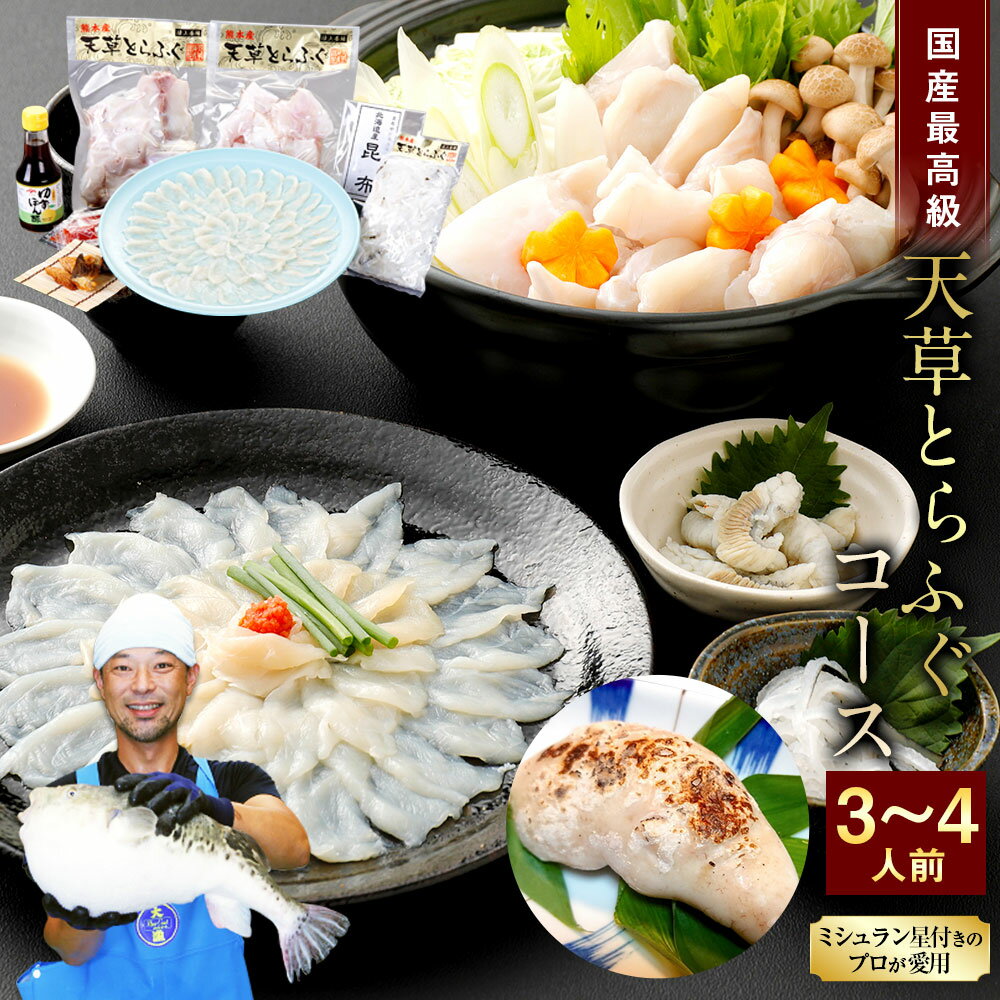 【ふるさと納税】 【ミシュラン星付きのプロが愛用】【着日指定不可】【数量限定】【白子付】国産 天草とらふぐコース 大皿使用 3〜4人前 冷凍 フグ 皮 切身 刺身 てっちり 焼きひれ 焼きふぐ 【2025年12月下旬～2026年3月下旬まで順次発送予定】