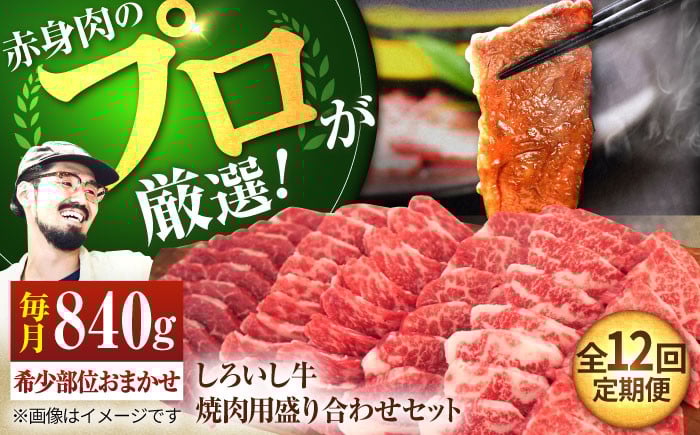
                  【牧場直送】【12回定期便】佐賀県産しろいし牛 焼肉用 盛り合わせ セット（希少部位）各回840g【佐賀セントラル牧場】佐賀県産 肉 お肉 牛肉 焼き肉 BBQ バーベキュー モモ カタ 肩 バラ 九州 佐賀県 白石町  白石 [IAH048]
                