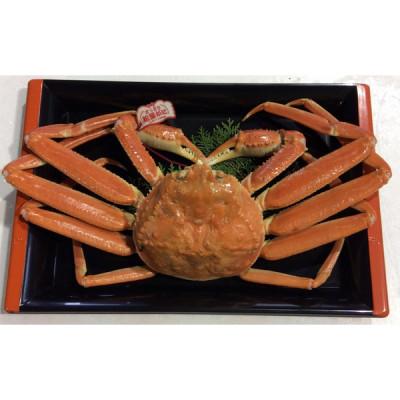 ふるさと納税 北栄町 鳥取県産タグ付きボイル松葉ガニ特大1枚(900g〜1kg) |  | 01