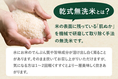 《新米予約》令和8年産【無洗米】特別栽培米 ひとめぼれ 5kg 秋田県産【2026年11月出荷】 [ひとめぼれ 米 お米 白米 精米 無洗米 特別栽培米 ブランド米 食卓 秋田県産 秋田県 由利本荘市