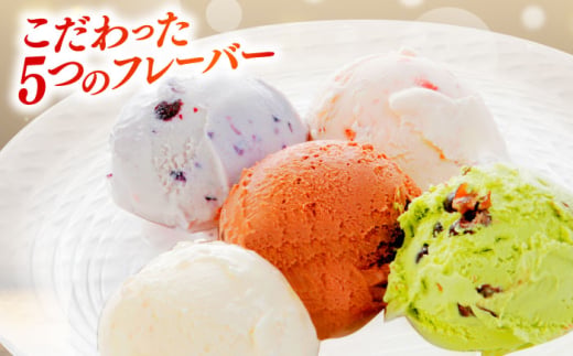 アイスクリーム ご褒美アイスにぴったり！VANAGA 5種類のアイスクリーム6個入 アイス バニラ ストロベリー 抹茶あずき ビターチョコ ブルーベリー デザート スイーツ ギフト 贈答 詰め合わせ 