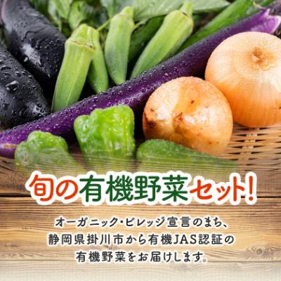 ふるさと納税 掛川市 【毎月定期便】しあわせ野菜畑の有機野菜　Mセット　(安心の有機JAS認証　オーガニック野菜)全6回 |  | 01