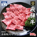 【ふるさと納税】【定期便3ヶ月】牛肉 飛騨牛 焼き肉 セット 赤身 モモ 又は カタ 300g 黒毛和牛 A5 美味しい お肉 牛 肉 和牛 焼肉 BBQ バーベキュー 【岐阜県瑞穂市】　定期便