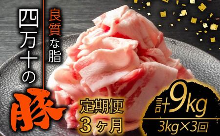 【全3回】高知県産 ブランドポーク 豚肉定期便 切り落とし 計9kg（3kg×3ヶ月) 豚肉 豚肉 豚肉 豚肉 豚肉【TM42000】