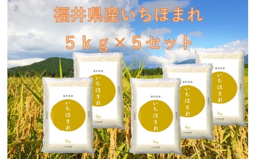 【令和6年産】福井が生んだブランド米「福井県産いちほまれ」5kg × 5袋 【計25kg 小分け 米 お米 コメ 福井県】 [C-014006]