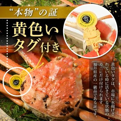 ふるさと納税 美浜町 (2026年12月発送)はるか丸が厳選!!　【訳あり越前がに大サイズ1杯】とれたて冷蔵でお届け |  | 01