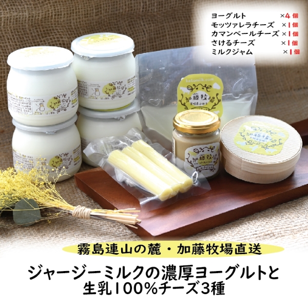 【C056】【霧島連山の麓・加藤牧場直送】ジャージーミルクの濃厚ヨーグルトと生乳100％チーズ３種