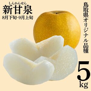 梨 新甘泉 しんかんせん 5kg 鳥取県産  | 1M