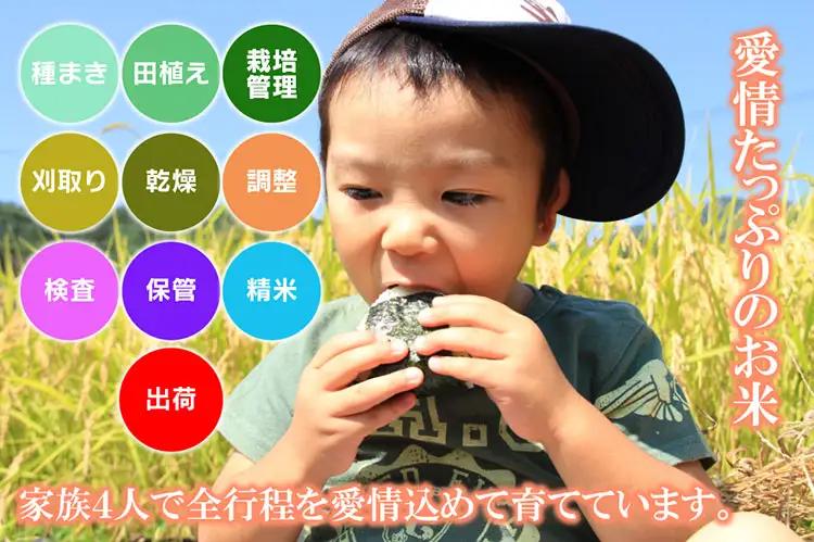 特別栽培米 つや姫 無洗米 10kg 【令和8年産新米早期予約特別企画】