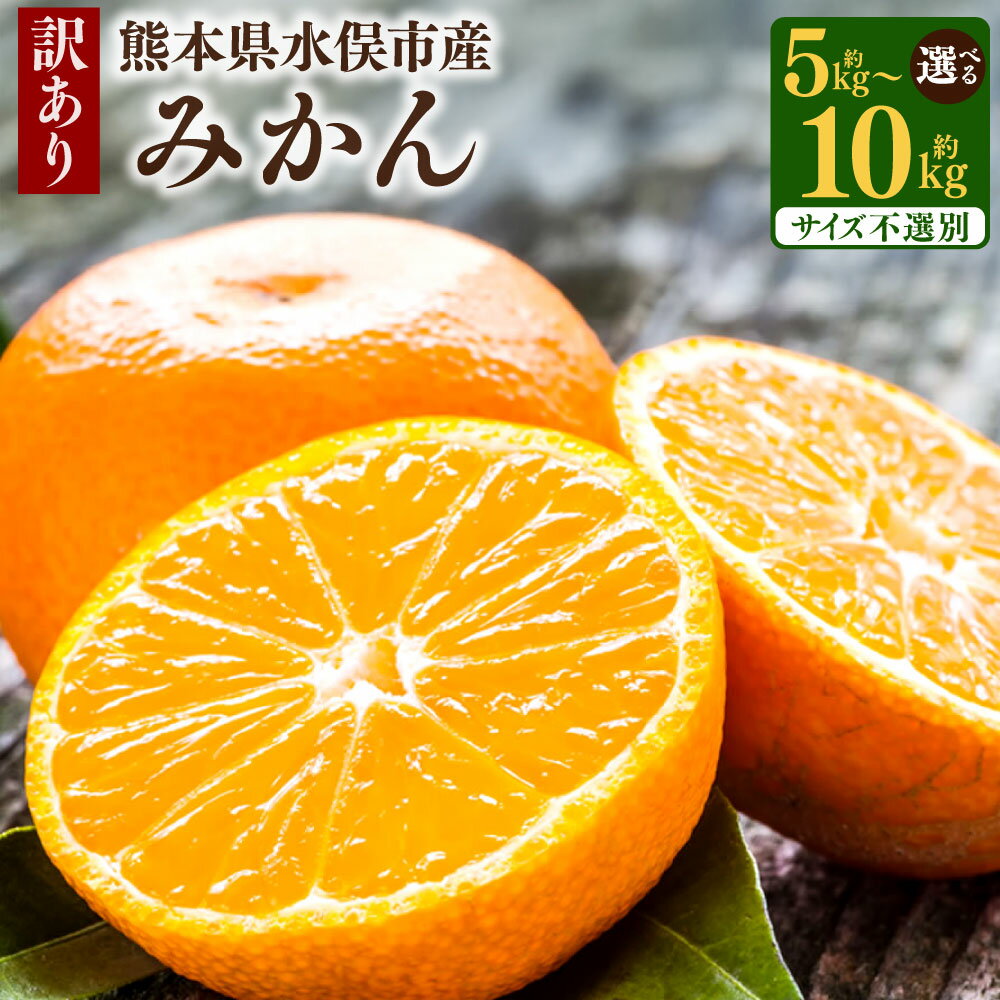 【ふるさと納税】訳あり みかん ＜容量が選べる＞ 約5～10kg サイズ不選別 小玉～大玉 ご自宅用 家庭用 みかん 蜜柑 柑橘 フルーツ 果物 くだもの 国産 九州 熊本県 冷蔵 送料無料【2025年10月上旬から2026年2月下旬発送予定】