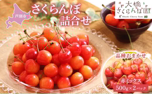 さくらんぼ 500g ×2 パック 赤ミックス 大橋さくらんぼ園 サクランボ チェリー 果物 果物類 フルーツ デザート 完熟 新鮮 美味しい 人気 北海道 芦別市 [№5342-0712]