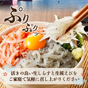 【定期便 3回】 焼津産生しらす(100g×3) 生桜えび(70g×3個) (a30-221)