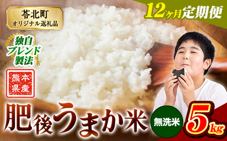 【12ヶ月定期便】肥後うまか米 熊本県産ブレンド米約5kg(無洗米) 熊本県産 ふるさと納税 無洗米 白米 精米 米 こめ コメ お米 おこめ《申込み翌月から発送》