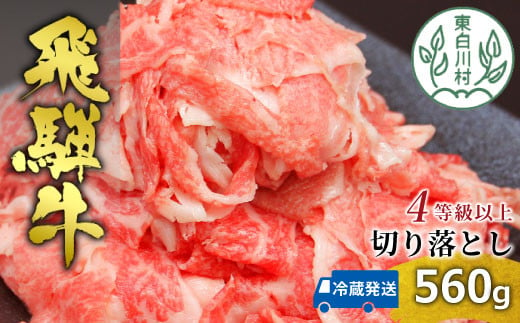 【2025年2月発送】飛騨牛 4等級以上 切り落とし 560g 牛肉 和牛 肉 切落し ブランド牛 4等級 5等級 国産 10000円