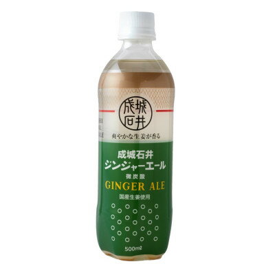 【ふるさと納税】成城石井 ジンジャーエール 500ml×24本_ ジンジャーエール 成城石井 メーカー ブランド 500ml ペットボトル ショウガ 生姜 人気 おすすめ 贈答 ギフト プレゼント 飲料 ドリンク 【1545202】