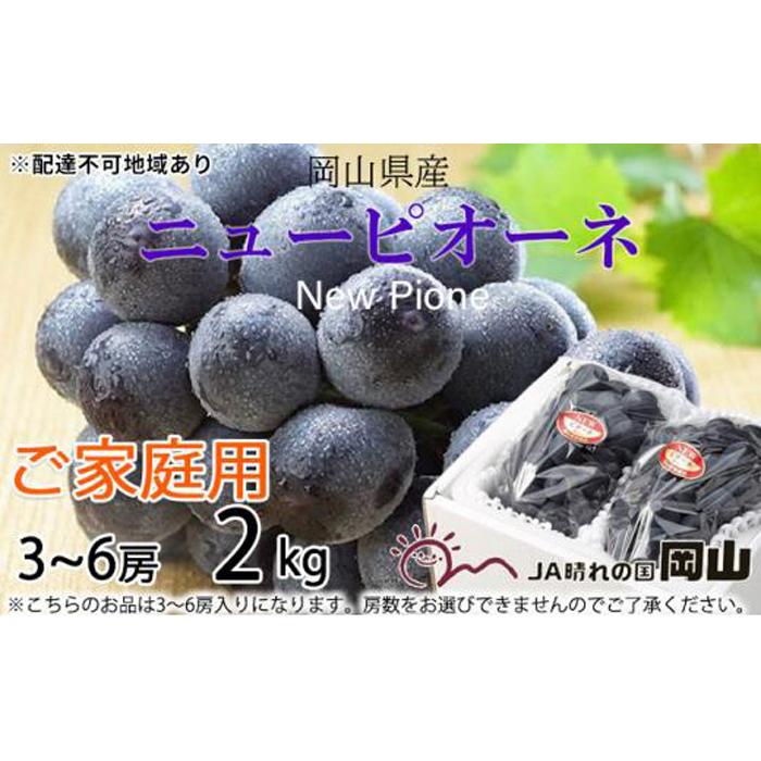 【ふるさと納税】ぶどう 2026年 ご家庭用 ニュー ピオーネ 3～6房 約2kg ブドウ 葡萄 岡山県産 国産 フルーツ 果物 | フルーツ 果物 くだもの 食品 人気 おすすめ 送料無料