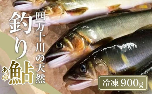 四万十川上流の天然鮎 釣り鮎 900g ( 冷凍 4～14尾 ) 鮎 あゆ アユ 川魚 高知県 四万十 天然 冷凍