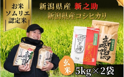 【先行予約】令和8年産【お米ソムリエのお米】玄米食べ比べセット 10kg（コシヒカリ5kg、新之助5kg） 新潟県 五泉市 エバーグリーン農場