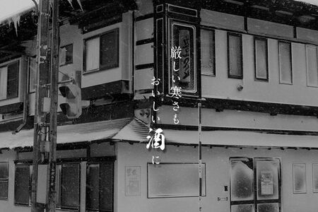 【寄附金額見直しました】【2026年11月発送】《ふるなび限定》豊盃 純米しぼりたて（生酒） 1.8L×1本