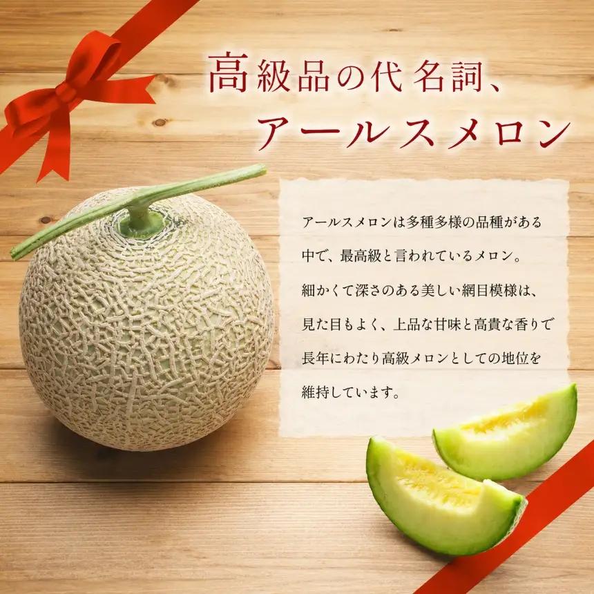 アールスメロン (2玉入り)
