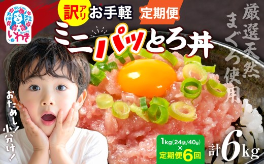 【定期便6回】訳アリ 福島製造 ねぎとろ使い切りパック 約1kg（約40g×24パック） ｜定期便 まぐろ まぐろたたき ねぎとろ ネギトロ マグロ パーティー 使い切りパック 海鮮丼 軍艦巻き お寿司 いわき市 福島県 ｜ DK011-1kg-t6