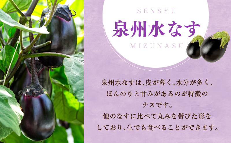 特選 無添加 水なす漬け 4個【新鮮 野菜 泉佐野産 茄子 やさい TONOファーム 高評価 数量限定】 G1100