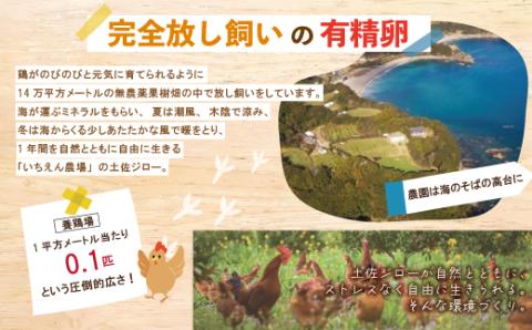 濃厚でコクのある味わい！のびのび育った土佐ジローの自然卵40個（10個入り×4パック）R5-1011