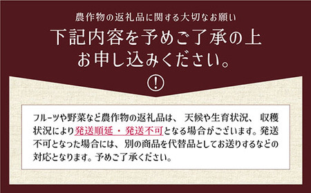 ＜令和６年産新米定期便３回＞うぶやま高原米（コシヒカリ５ｋｇ×２袋）