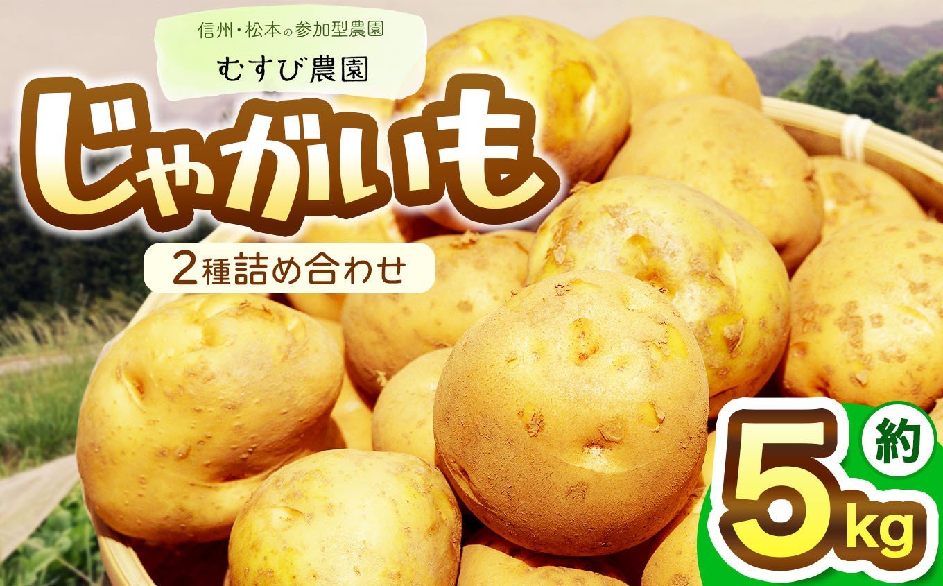 
            信州・むすび農園のじゃがいも2種詰め合わせ 約5kg | 農薬不使用 化学肥料不使用 植物性肥料 無農薬 旬の野菜 野菜 じゃがいも やさい 健康 長野県 松本市
          